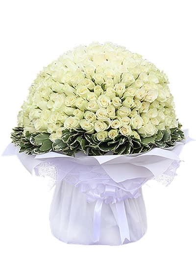 200 White Roses Hand-Tied Bouquet