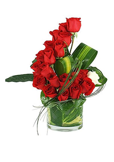 Red Roses Wave Bouquet