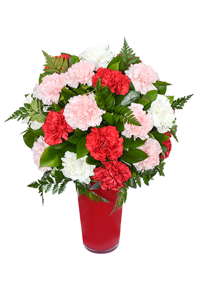 Lavish Carnations