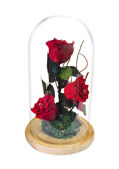 Forever Red Roses Dome