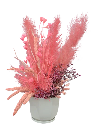 Dry Pinkish Flowers