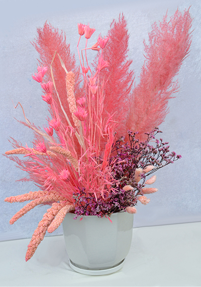 Dry Pinkish Flowers