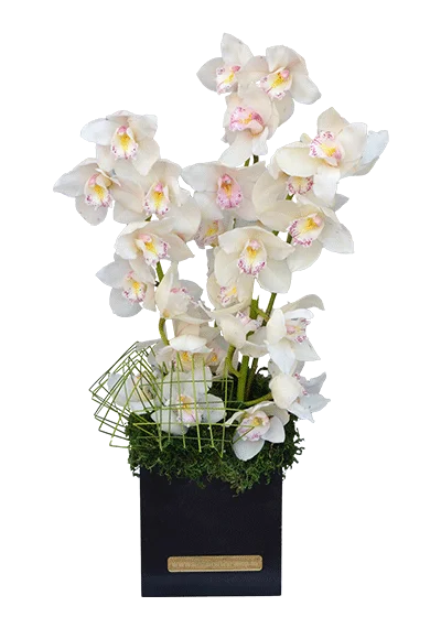 Cymbidium Flower Bouquet
