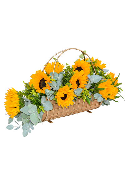 Gripping Sunflowers