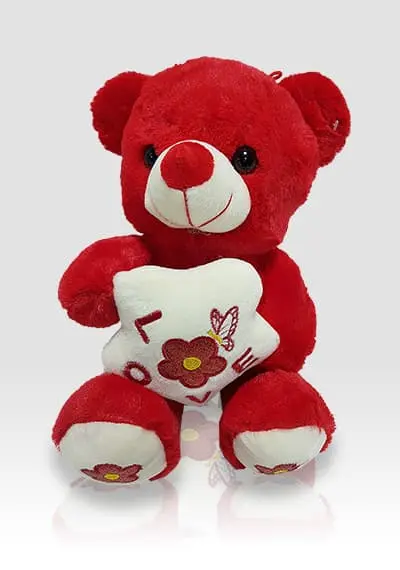 Red Love Teddy