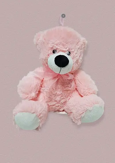 Pink For All Teddy