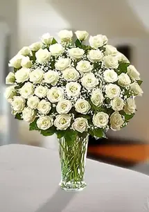 Peaceful Premium White Roses