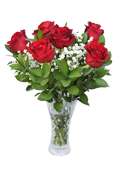 6 Roses in Vase - Flower Arrangement
