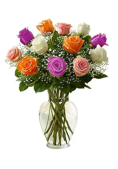 Colourful Roses in Vase