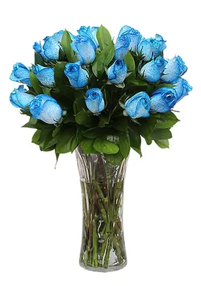 Pure Royal Blue Roses Bouquet