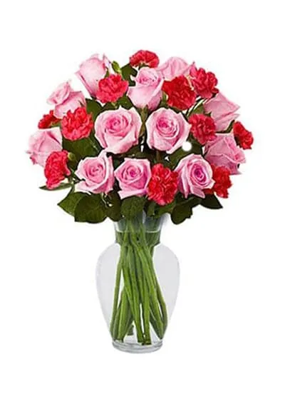 Rose Carnation Flower Vase