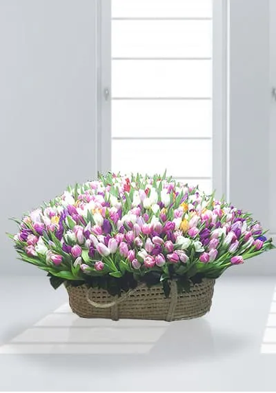 House Of Tulips - Flower Basket