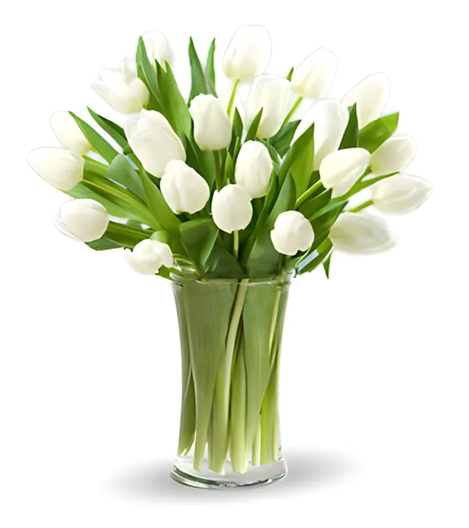 25 White Tulips Bouquet
