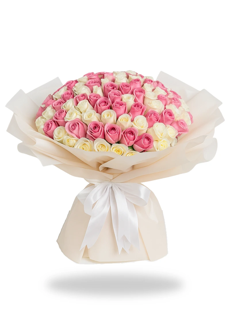 A luxurious bouquet of 100 mixed pink and white roses, wrapped in soft cream paper and tied with a white satin ribbon.