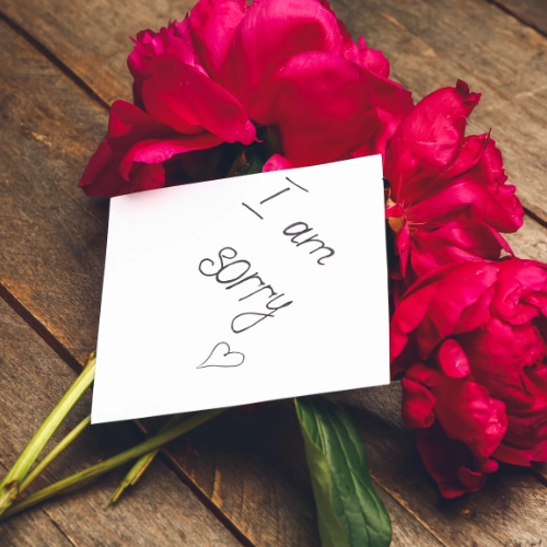 I M Sorry Flowers