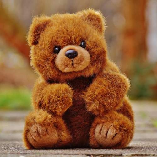 Teddy Bears